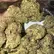 Flower Photo of All Flower/Strains (Prescription Medical Cannabis) Craft Select GRZ T26 Green Runtz