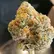 Flower Photo of All Flower/Strains (Prescription Medical Cannabis) GGA T32 GMO Grape Ape