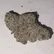 Flower Photo of Companies Cultivating/Producing UK Medical Cannabis Premium ATD T29 Alaskan Thunder