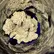 Flower Photo of Companies Cultivating/Producing UK Medical Cannabis KS T27 King Sherb