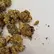 Flower Photo of All Flower/Strains (Prescription Medical Cannabis) FC T27 Fire Cookies