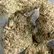 Flower Photo of Companies Cultivating/Producing UK Medical Cannabis Craft Select SPK T30 Stinky Pinky