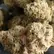 Flower Photo of Companies Cultivating/Producing UK Medical Cannabis Premium DBT T31 Donkey Butter