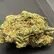 Flower Photo of All Flower/Strains (Prescription Medical Cannabis) Craft Select BDR T20 Blue Dream