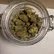 Flower Photo of All Flower/Strains (Prescription Medical Cannabis) Craft Select GSP T28 Gastro Pop