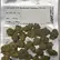 Flower Photo of Companies Cultivating/Producing UK Medical Cannabis EXG T27 Exotic Gas #007