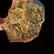 Flower Photo of All Flower/Strains (Prescription Medical Cannabis) C-PS T22 Pomegranate Shake
