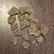 Flower Photo of Packagers, Manufacturers & Formulators ZB T25 Z-Berries
