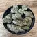 Flower Photo of Companies Cultivating/Producing UK Medical Cannabis PLG T22 Platinum Gushers