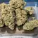 Flower Photo of All Flower/Strains (Prescription Medical Cannabis) TZ T30 Trillianz