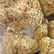 Flower Photo of  BFL T28 Britney's Frozen Lemon