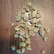 Flower Photo of Importers & Pharmacy Wholesalers BD T22 Blue Dream