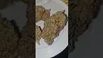 Craft Botanics T28 SMM Slurricane Mimosa Azztecmedia UK MEDICAL Reviews #medbud.wiki #UK #Anxiety 