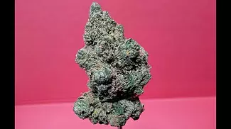 F.A.A.F.O - Death Bubba