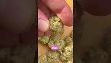 EdTalks420 Video Thumbnail