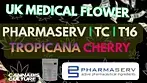 UK MEDICAL FLOWER | Pharmaserv | TC | T16 | TROPICANA CHERRY