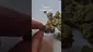 Video Thumbnail: ScottiDunCanna
