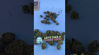 4c labs Chemnesia haze