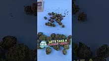 UK and Legal Video Thumbnail