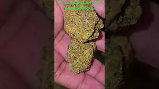 UK Medical Flower. Broken Coast AH T28 Amnesia Haze