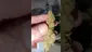 Video Thumbnail: WestPacks420