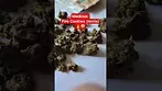 Medicus - Fire Cookies :minis (T24)(UK Medical Cannabis Prescription)
