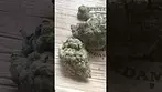 Uklegal #GreenKarat SupremeDiesel28%thc1%cbd #medicated #medicann #mentalhealthawareness #Cantourage