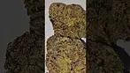 Vasco PR T28 Pavé Runtz Azztecmedia UK MEDICAL Reviews #medbud.wiki #medicalcannabis #UK #pain