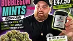 £47.50 For 10g! Bubblegum Mints Review | First View Reviews