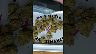 Phant Ghost Train Haze #ukmedicalcannabis #cannabiseducation #shorts