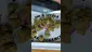 Video Thumbnail: HighThoughts Low Focus