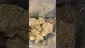 Video Thumbnail: Mary Jane Media 420
