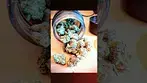 IPS Durban Gorilla 27% #durban #gorillatag #medicalcannabis