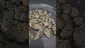 Video Thumbnail: Eazypax420