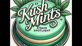 Strain Spotlight: Kush Mints (Glass Pharms)  | Effects, Terpenes & Medical Benefits