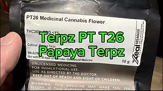 Terpz PT T26 Papaya Terpz Legal Medical Cannabis Flower