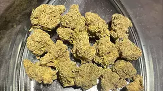 All nations T22 MAC DADDY REVIEW
