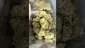 Video Thumbnail: High Jack