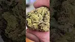 Green Karat - London Marker T27 - (London pound cake x Permanent Marker) - Sticky dense nugs. RESIN!