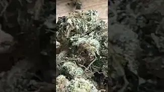 Uklegal #GoodSupplyReserve Og Kush Breath 28%thc 1%cbd #medicated #medicalcannabis #medbud #ukmeds