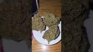 Uk Medical Flower Broken Coast Amnesia Haze 28%. Sticky sweet citrus. Gamma Irradiated but WOW.
