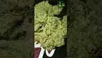 Headstone - Black Mountain Side - T30,what we saying on this one ?,check the comments