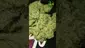 Video Thumbnail: VIP THC