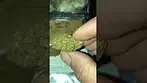 No5 lemon sour disel Mccn uk medical cannabis