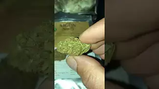 No5 lemon sour disel Mccn uk medical cannabis