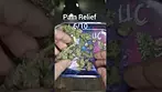Plantations Cares - Rainbow Pave | UK Medical