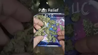 Plantations Cares - Rainbow Pave | UK Medical