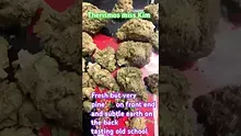 Casper Video Thumbnail