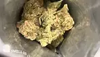 Grow® Pharma BLU T22 Blunicorn Medical Strain Reviews #15