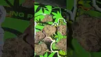 Blue lobster UK medical cannabis 1010 #medical #cannabisheals